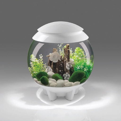 BiOrb Halo 30 aquarium with white LED top, clear glass bowl filled with green plants and decorations