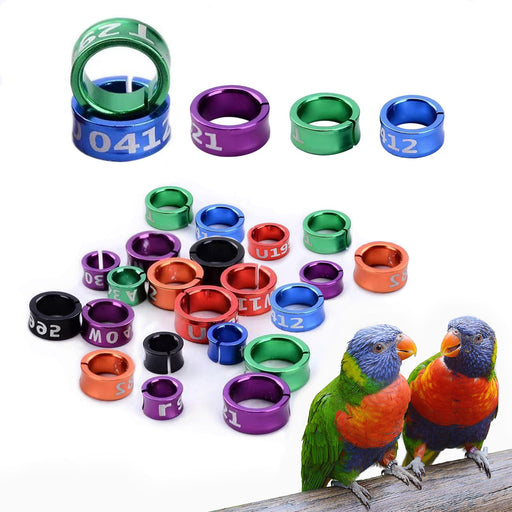 Colorful aluminum bird leg bands in various sizes with two rainbow lorikeets perched nearby
