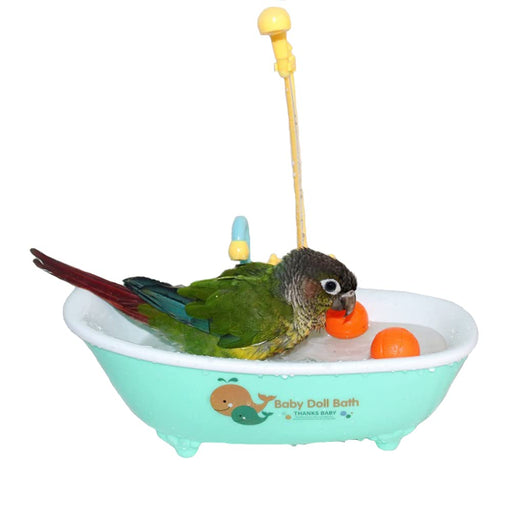 Green conure parrot bathing in turquoise toy bathtub with shower attachment and orange bath toys