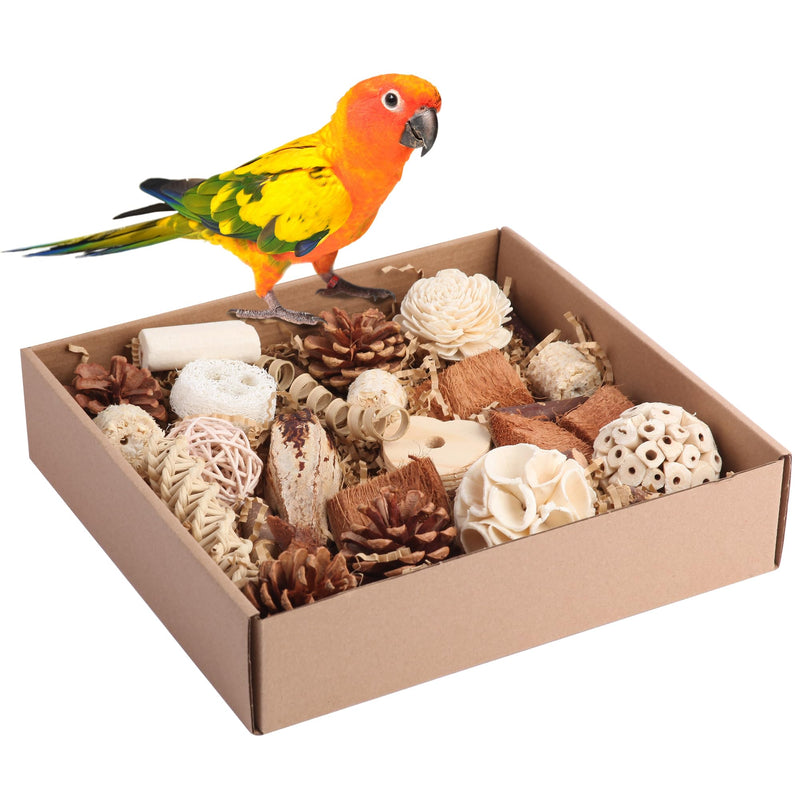 Colorful sun conure parrot perched on brown cardboard box filled with natural foraging toys