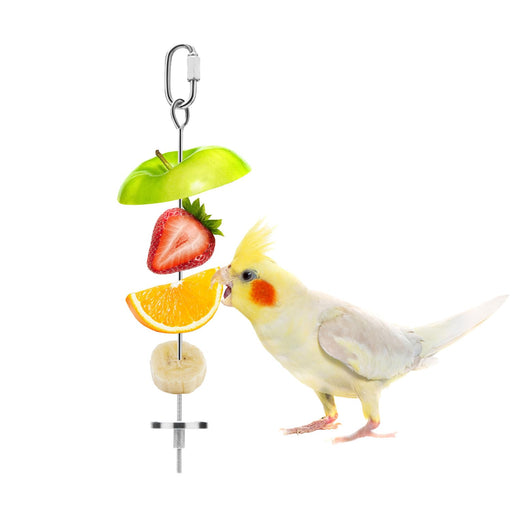Yellow cockatiel eating from stainless steel fruit kabob feeder with apple, strawberry, orange