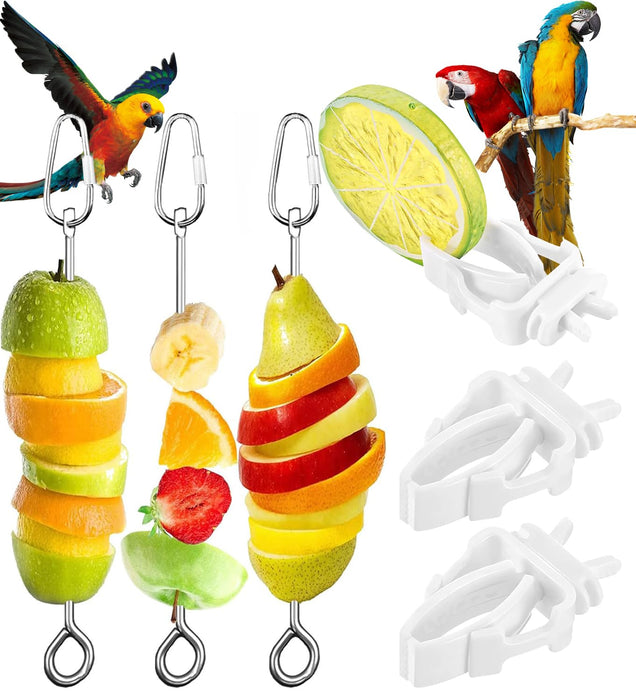 Stainless steel bird fruit skewers with colorful fruit kabobs and three parrots on white background