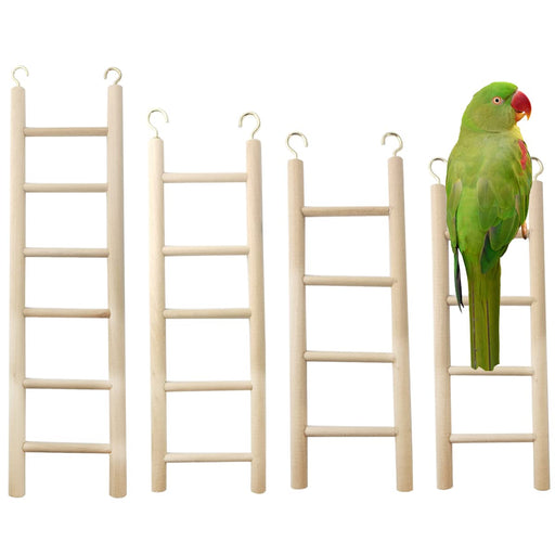 Green parrot perched on wooden ladder with four other natural wood bird ladders displayed
