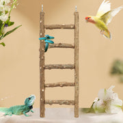 Natural wood bird ladder with colorful lovebird flying and iguana figurine nearby white flowers