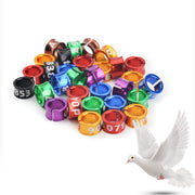 Colorful aluminum bird leg bands in multiple colors with numbers scattered with flying dove