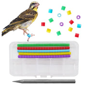 Colorful bird leg bands in storage case with tweezers and scattered bands above flying bird