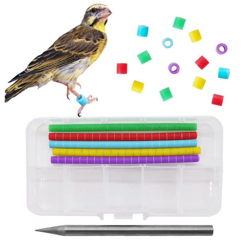 Colorful bird leg bands in storage case with tweezers and scattered bands above flying bird