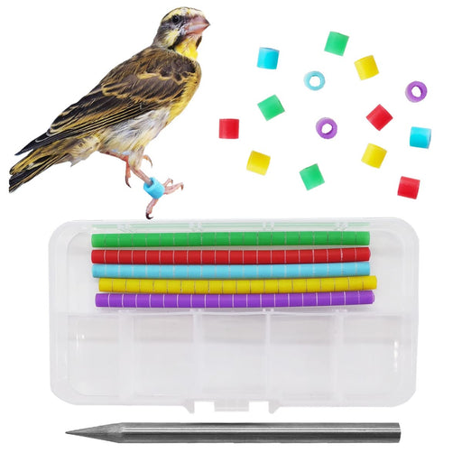 Colorful bird leg bands in storage case with tweezers and scattered bands above flying bird
