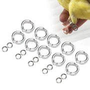 Silver bird leg rings in various sizes displayed on white surface with canary wearing ring