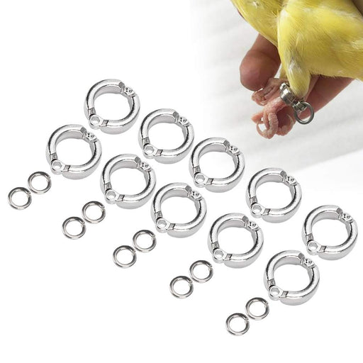 Silver bird leg rings in various sizes displayed on white surface with canary wearing ring