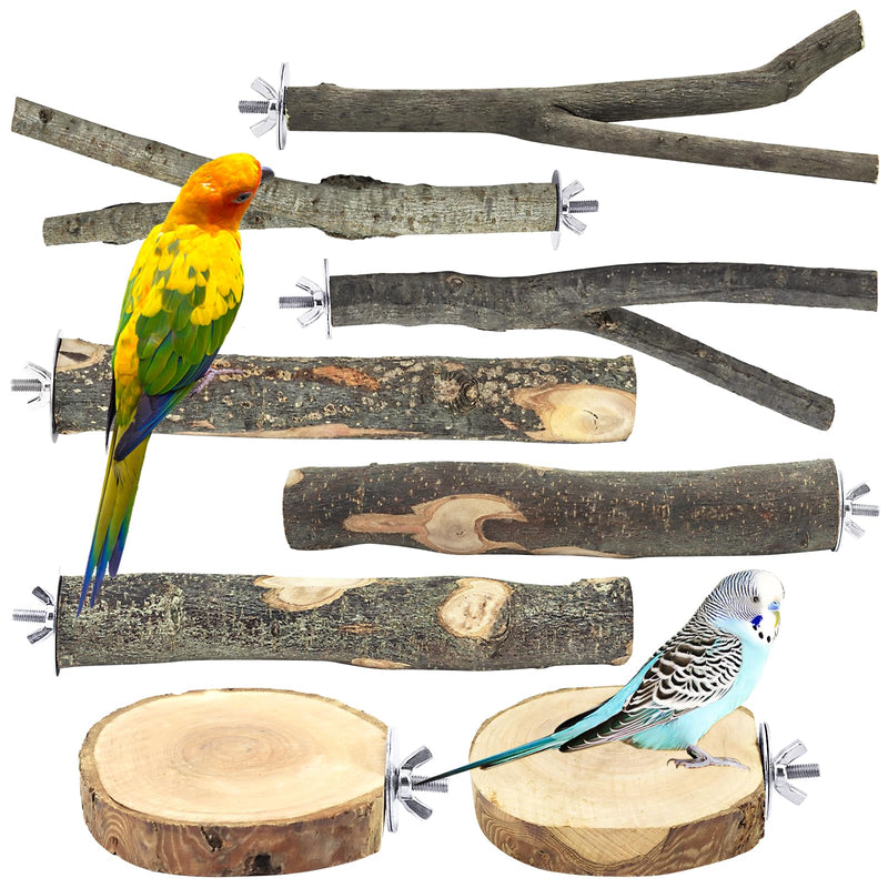 Natural wood bird perch branches with metal clamps displayed with colorful parrot and budgie