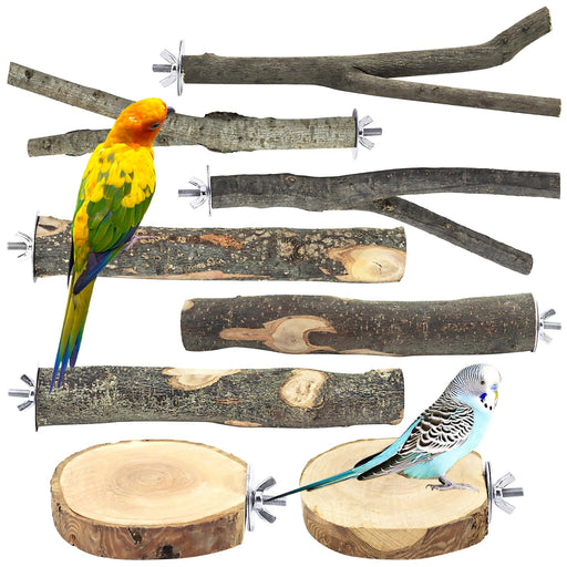 Natural wood bird perch branches with metal clamps displayed with colorful parrot and budgie
