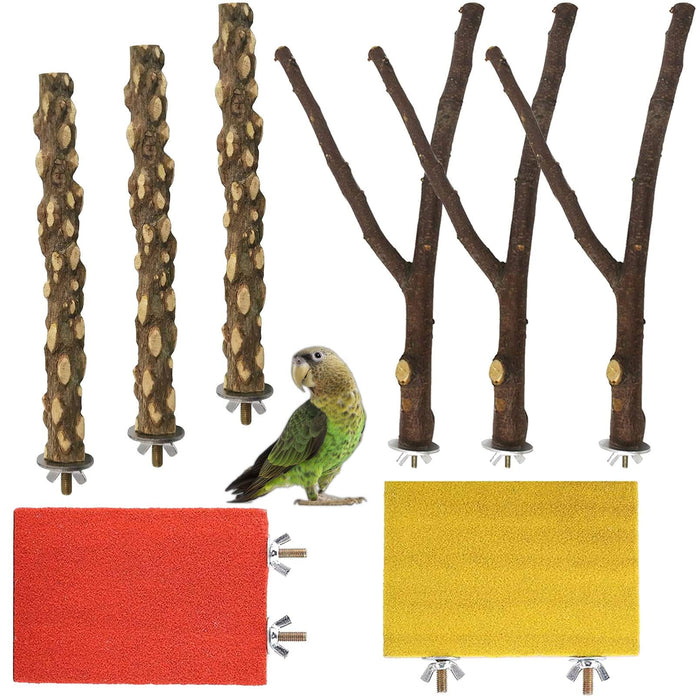 Natural wood bird perch set with green parrot, showing various perch styles and colored platforms