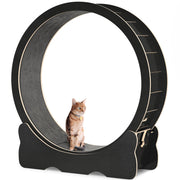 Orange tabby cat sitting inside large black wooden cat exercise wheel with gray carpet