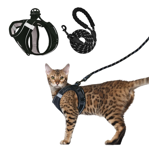 Bengal cat wearing black harness with leash, showing harness components separated above