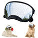 Black dog goggles with mirrored lenses reflecting sky and trees, shown with two dogs wearing them