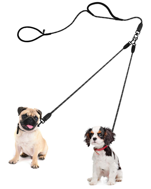 Pug and small spaniel wearing black no-tangle double dog leash with Y-shaped connector