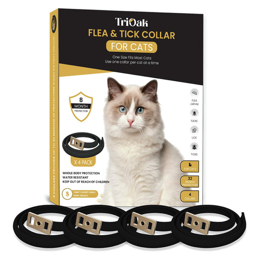Black cat flea collars with gold buckles displayed below product packaging box