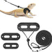 Black bearded dragon harness components laid out showing leather body pieces and coiled rope leash