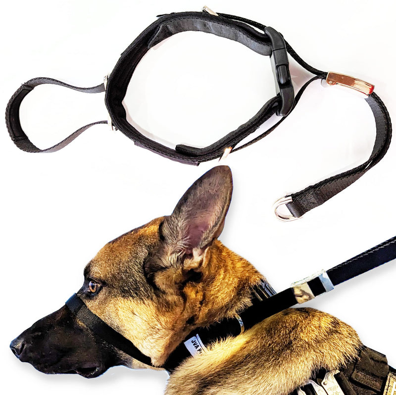 Black no-pull dog headcollar shown alone and worn by a German Shepherd side profile