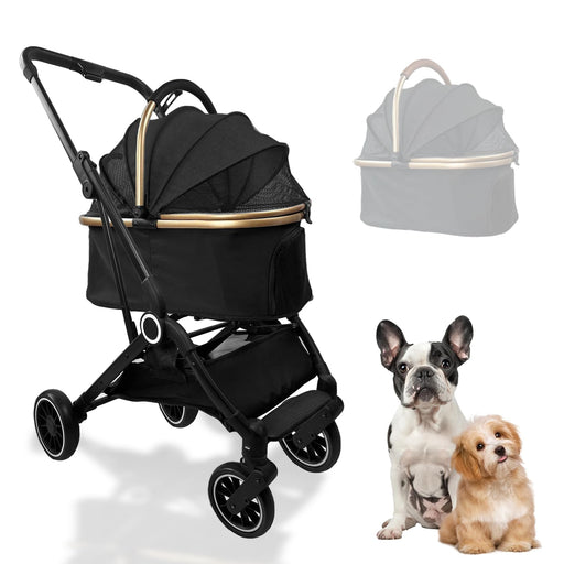 Black pet stroller with gold trim next to two small dogs - French Bulldog and brown-white dog