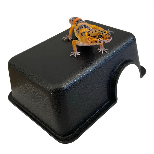 Black plastic reptile hide cave with leopard gecko on top showing yellow spotted pattern