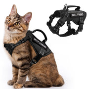 Brown tabby cat wearing black tactical harness with BEST FRIEND text, shown with product view