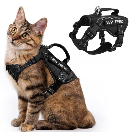 Brown tabby cat wearing black tactical harness with BEST FRIEND text, shown with product view
