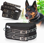 Black tactical dog collar with reflective stitching and dual buckles worn by German Shepherd