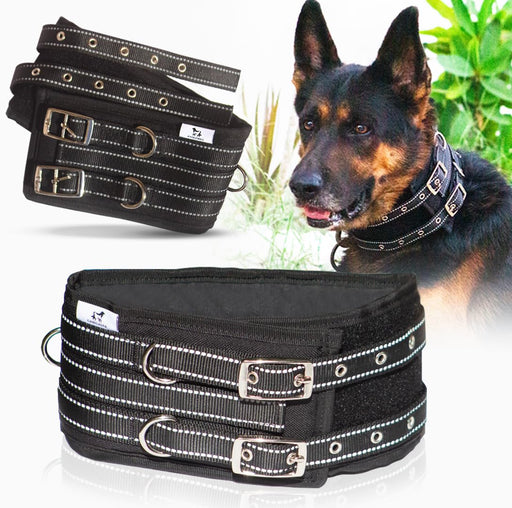 Black tactical dog collar with reflective stitching and dual buckles worn by German Shepherd