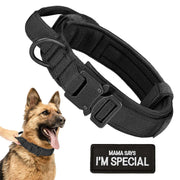 Black tactical dog collar with metal buckle, handle, and D-ring shown with German Shepherd and patch