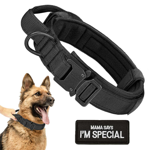 Black tactical dog collar with metal buckle, handle, and D-ring shown with German Shepherd and patch