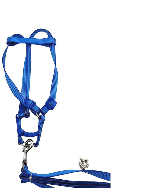 Blue adjustable bird harness with matching leash featuring metal clasps and buckles