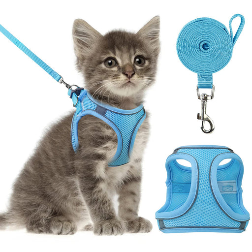 Blue mesh cat harness set with leash and harness components displayed separately on white