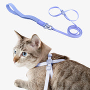 Blue cat harness and leash set shown on tabby cat with blue eyes and displayed separately above
