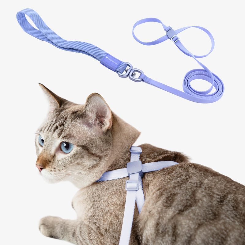 Blue cat harness and leash set shown on tabby cat with blue eyes and displayed separately above