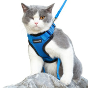 Gray and white cat wearing blue mesh harness with leash, sitting on white background