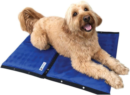 Golden fluffy dog lying on blue cooling mat with black trim against white background