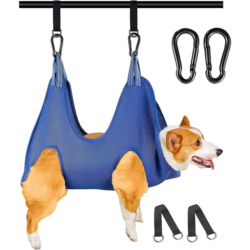 Corgi dog suspended in blue mesh grooming hammock sling hanging from metal bar