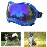 Blue dog goggles with purple mirrored lenses and black adjustable strap on white background