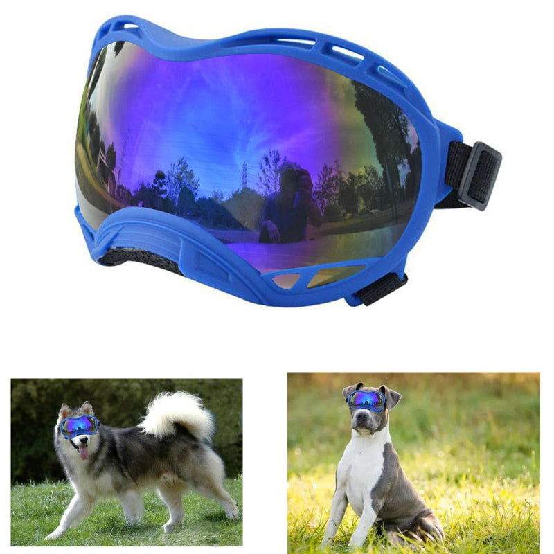 Blue dog goggles with purple mirrored lenses and black adjustable strap on white background