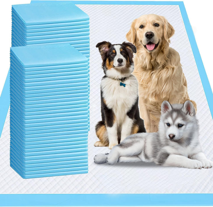Stack of blue training pads with three dogs sitting on large white absorbent pad