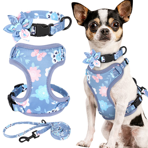 Blue floral dog harness set with collar, vest harness and leash displayed alongside Chihuahua