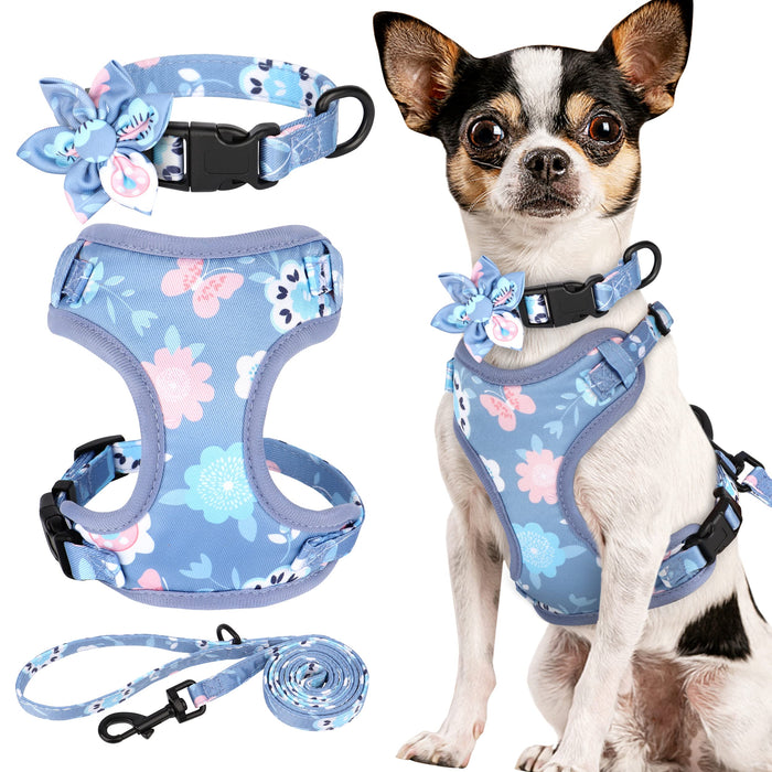 Blue floral dog harness set with collar, vest harness and leash displayed alongside Chihuahua