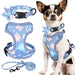 Blue floral dog harness set with collar, vest harness and leash displayed alongside Chihuahua