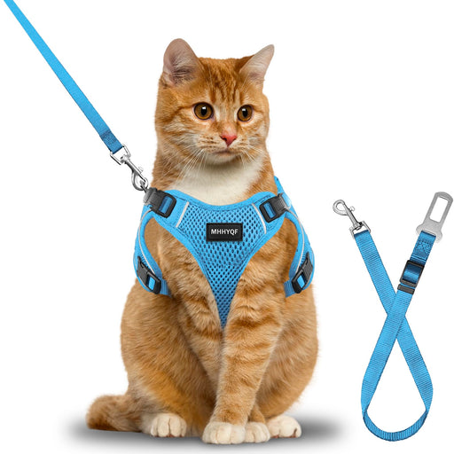 Orange tabby cat wearing blue mesh harness with matching leash on white background