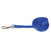 Blue nylon dog leash with silver bolt snap clip laid flat on white background