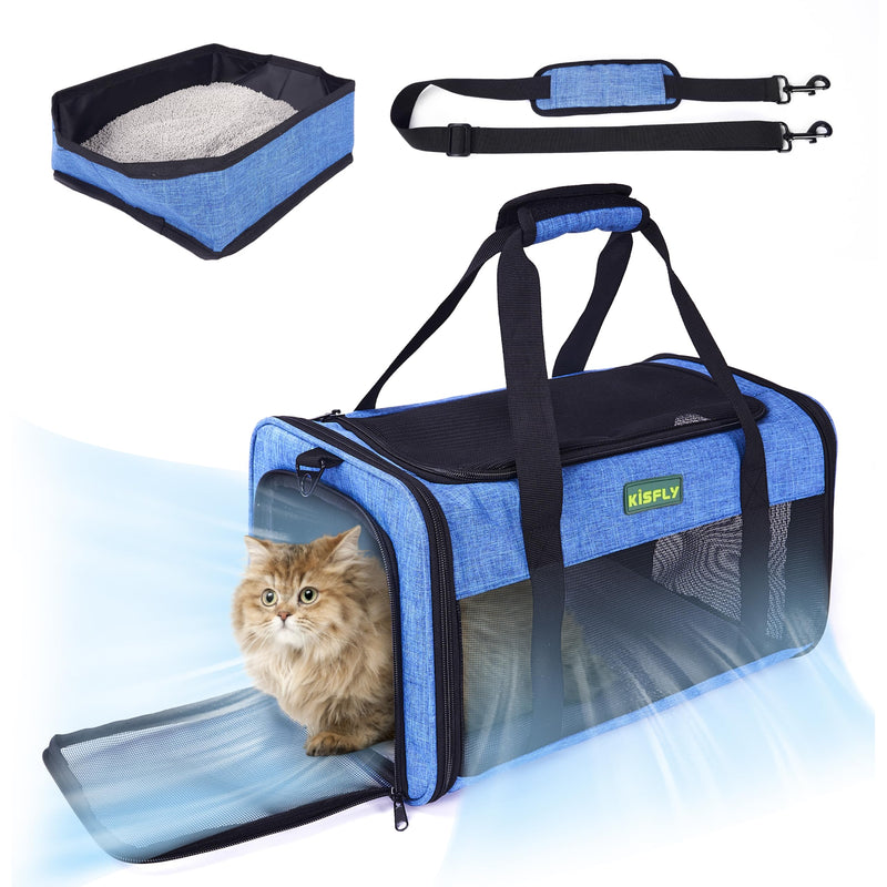 Blue soft pet carrier with orange kitten inside, showing mesh windows and shoulder strap