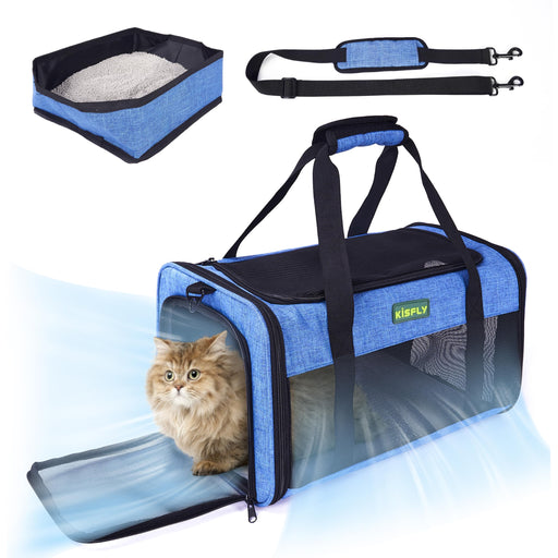 Blue soft pet carrier with orange kitten inside, showing mesh windows and shoulder strap