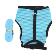 Blue mesh pet harness with black trim and matching leash laid out on white background
